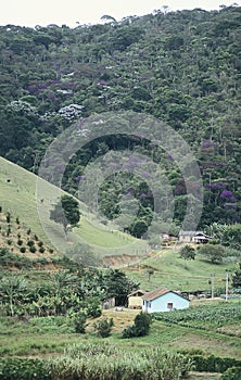 Farms and deforestation in southern Brazil.