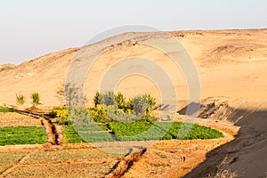 Farms at the edge of dunes