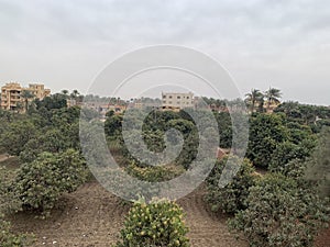 farms at Egyptian countryside