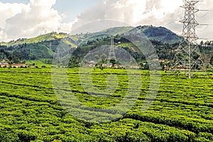 Farms on Hillsides in Rwanda, East Africa photo