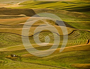 Farms of Palouse