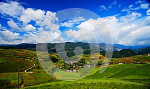 Farms on the Qinghai Tibet Plateau