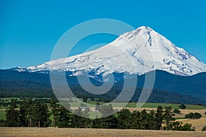 Farms and ranches in Oregon with Mount Hood in the background