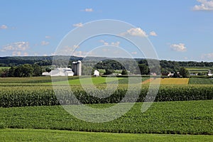 Farms on the rolling hills in Strasburg, Lancaster County, Pennsylvania
