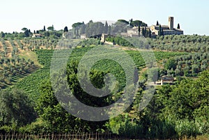 Farms in Tuscany, Italy