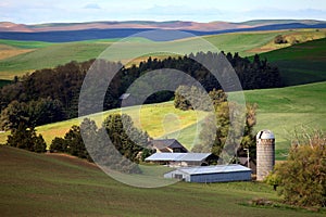 Farmstead in the Palouse Countryside