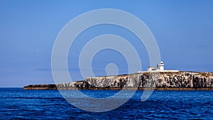 Farne Islands Lighthouse