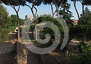 Farnese Gardens on the Palatine Hill, Rome, Italy