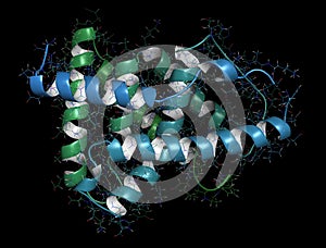 Farnesoid X receptor (ligand binding domain) protein. Target of the drug obeticholic acid. 3D rendering based on protein data bank