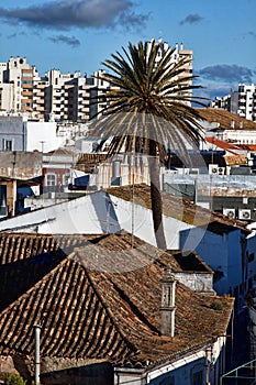 Faro city rooftops