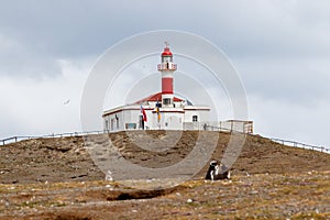 Faro Isla Magdalena, Maritime Signalling Lighthouse at Famous Penguin Reserve National Monument on Magdalena Island in