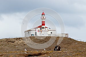 Faro Isla Magdalena, Maritime Signalling Lighthouse at Famous Penguin Reserve National Monument on Magdalena Island in