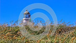 Faro Los Morrillos lighthouse in Cabo Rojo against behind the grass against the blue sky