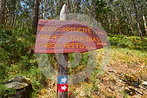 Faro Peito sign to Lighthouse in Islas Cies Spain photo