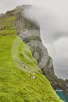 Faroe islands landscape with cliffs and atlantic ocean. Mikladalur, Kalsoy photo