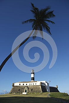 Farol da Barra Salvador Brazil Lighthouse with Palm Tree photo