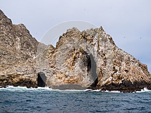 Farollon Islands Wildlife Refuge View, Birds Nesting