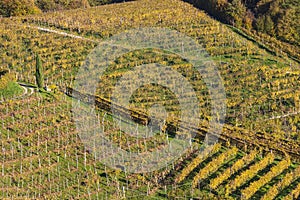 The spectacular colors of autumn