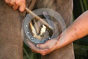 Farrier