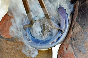 Farrier applying hot shoe to hoof of horse