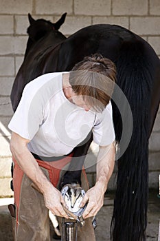 Farrier with black Horse