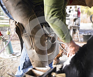 Farrier Clipping Horse Hoof photo