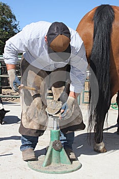 Farrier days