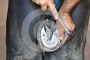 Farrier hammering a nail