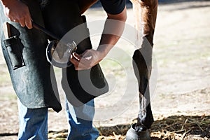 Farrier man, horse foot and farm with hammer for help, race and speed with tools, care and support. Vet team, equine