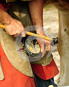 The Farrier, nailing the shoe photo