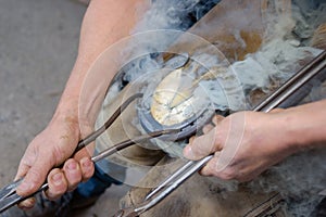 farrier shoeing horse