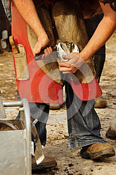 The Farrier, trimming the frog