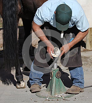 A farrier trimming a horse hoof.