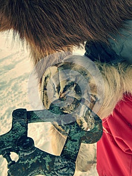 Farrier trimming horse hoof with especial hoof pincer