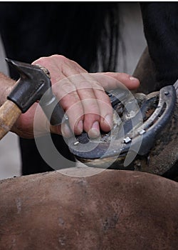 Farrier at work 3