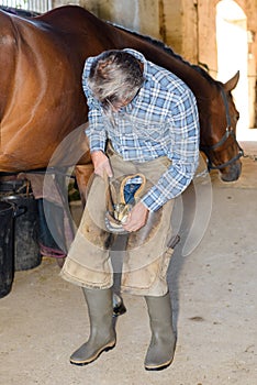 Farrier at work on horses hoof