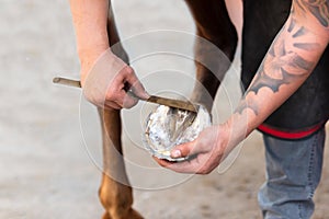 Farrier at work on horses hoof