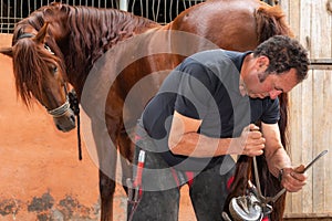 Farrier at work on horses hoof