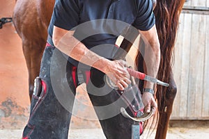 Farrier at work on horses hoof