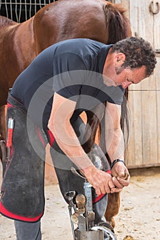 Farrier at work on horses hoof