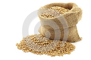Farro grain in a burlap bag