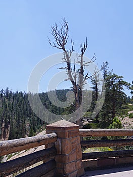 Farview Point lookout deck, Bryce Canyon National Park