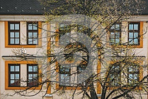 Fasáda starej budovy a stromu v Poprade. Slovensko. Detailný záber