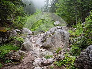 A fascinating and difficult walk while climbing Mount Olympus in Greece