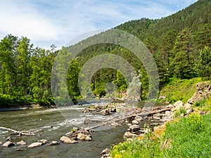 Fascinating landscape with the Katun River and the mountains surrounding it on a bright sunny day in Altai