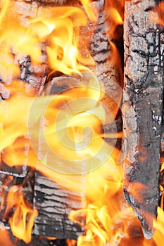 Fascinating orange flame of a fire - the element on which you can watch forever