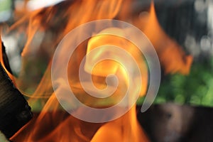 Fascinating orange flame of a fire - the element on which you can watch forever