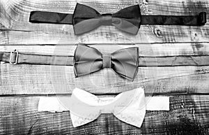 Fashion accessory. Esthete detail. Fix bow tie. Groom wedding. Textile fabric bow close up. Modern formal style