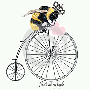 Fashion apparel print bumble bee on bicycle with crown