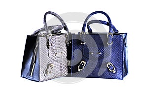 Fashion bags animals skins on background